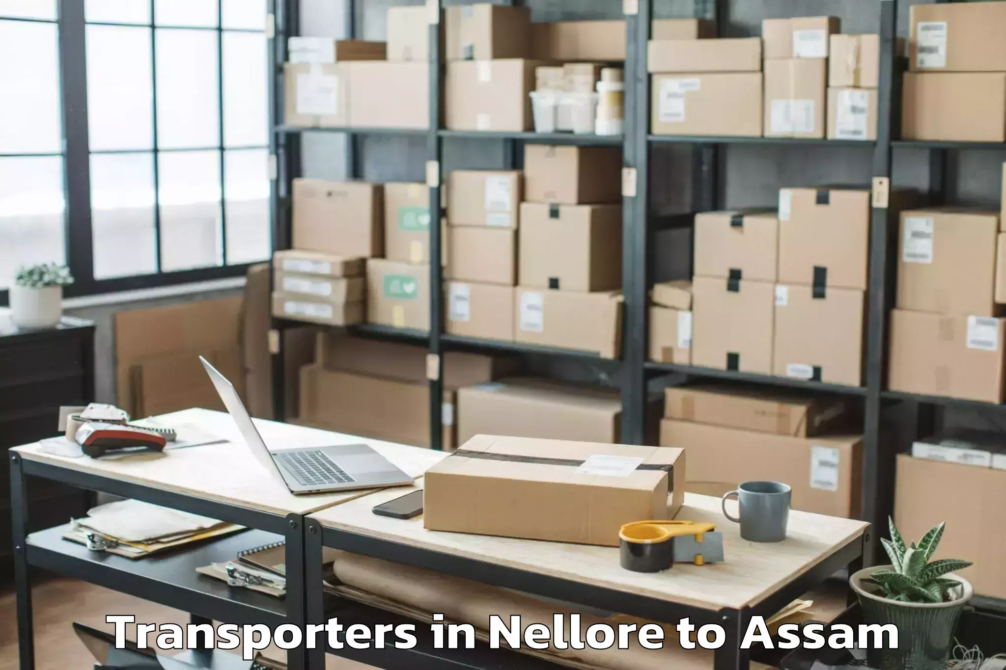 Book Nellore to Gossaigaon Pt Transporters Online